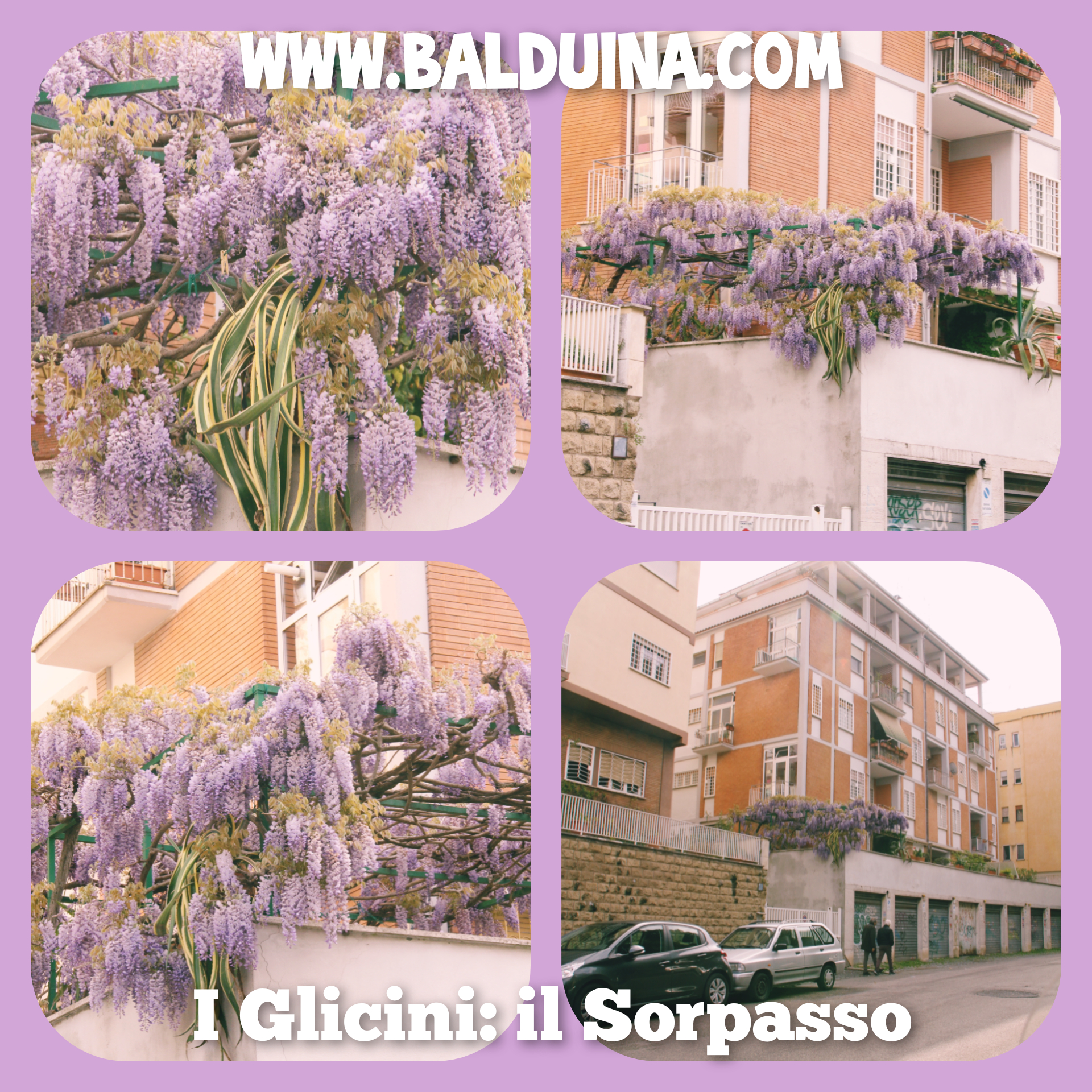 il_sorpasso il_sorpasso