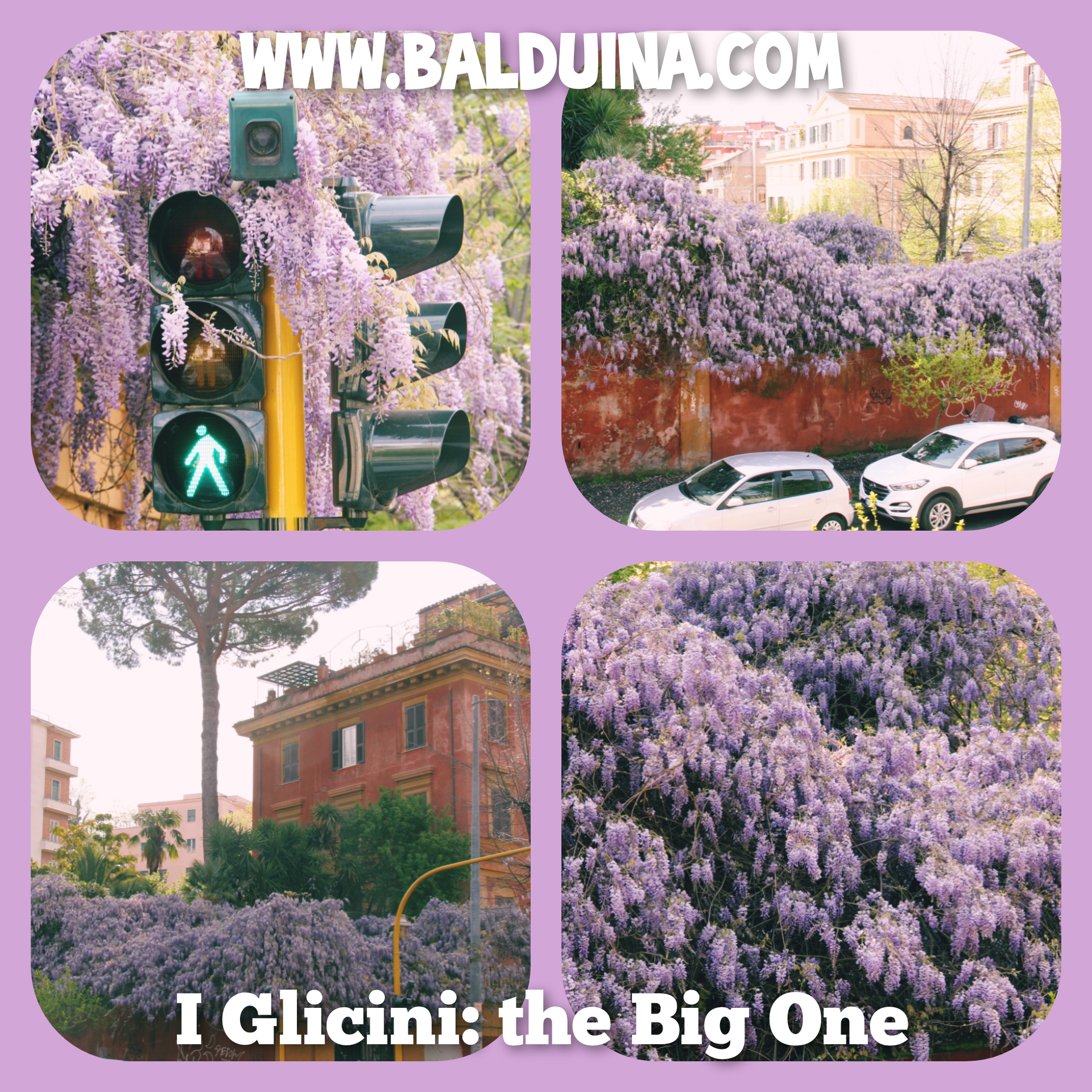 the_big_one the_big_one