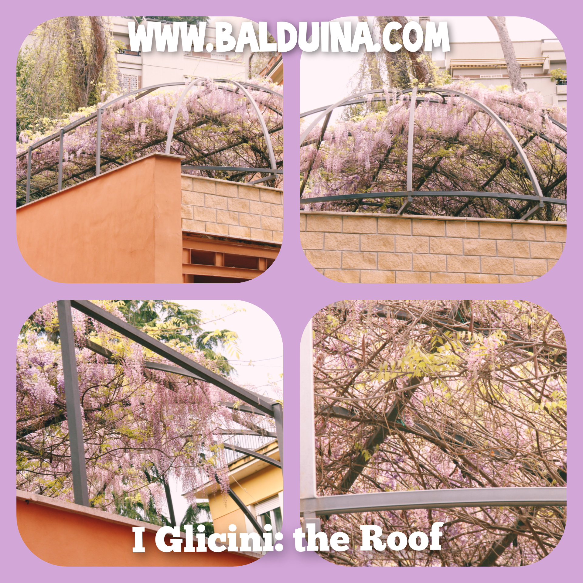 the_roof the_roof